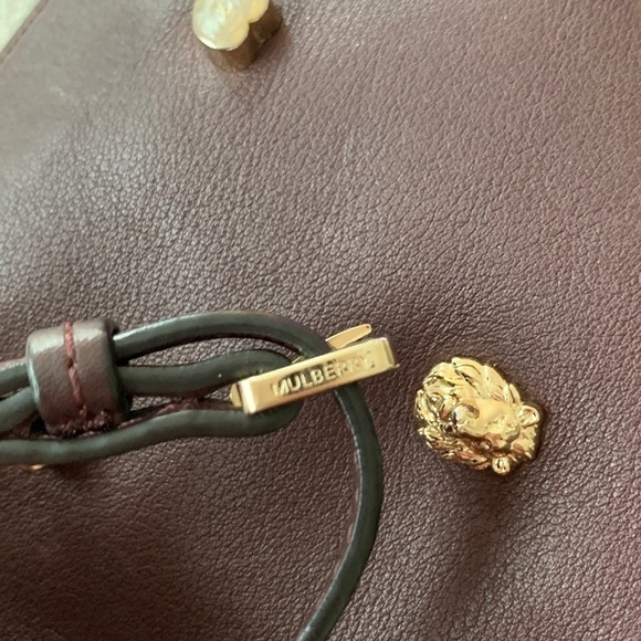 🦁 Mulberry x Cara Delevingne Mini Bag in Oxblood with Lion & Heart Rivets - Picture 5 of 17